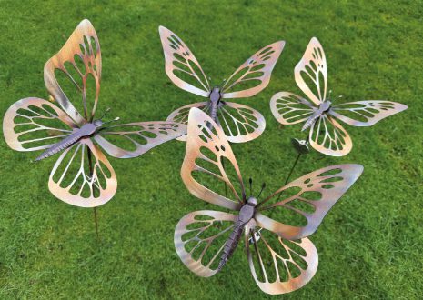 Butterfly Reflections